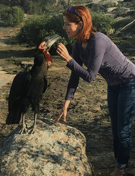 woman touching a bird sitting on the rock