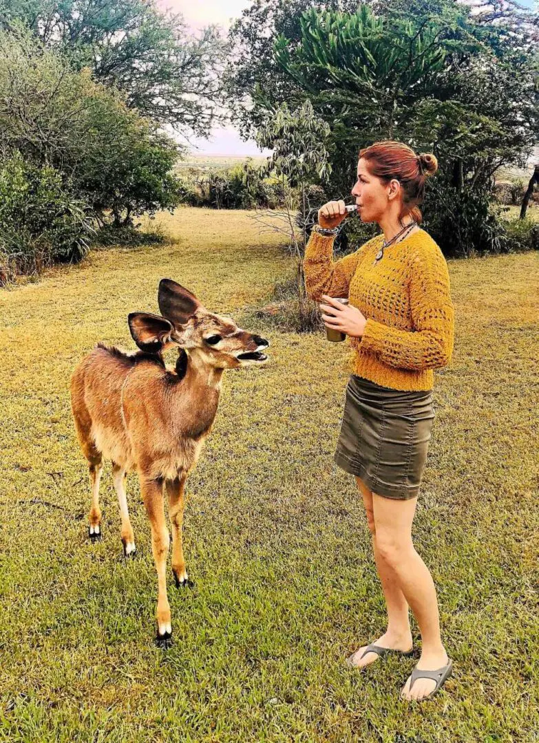 A woman feeding two deer in the grass.