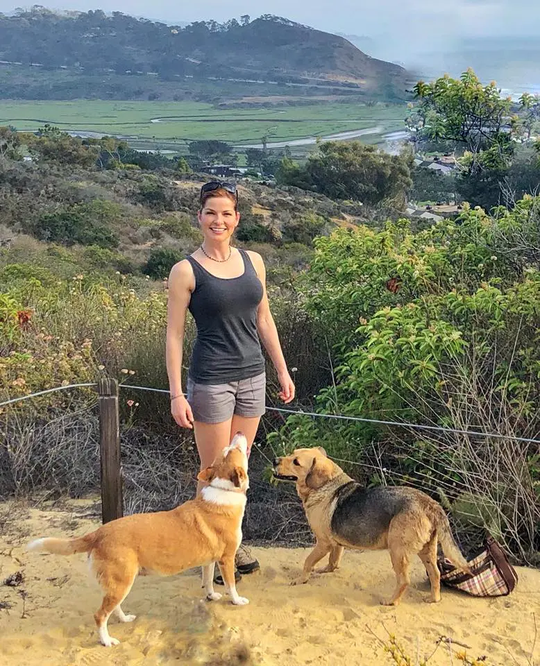 A woman standing on top of a hill with two dogs.