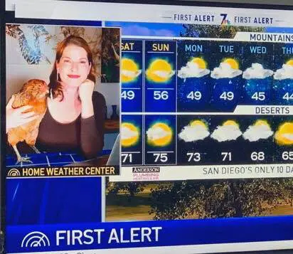 A woman holding her cat in front of an image of the weather.