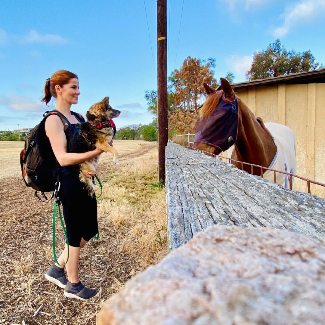 A woman holding her dog and looking at a horse.