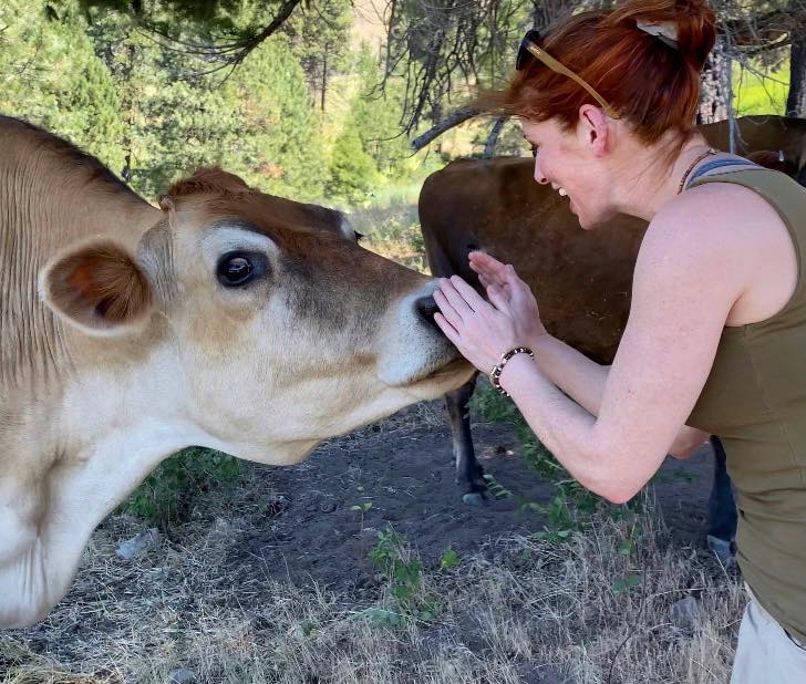 A woman is petting the face of a cow.