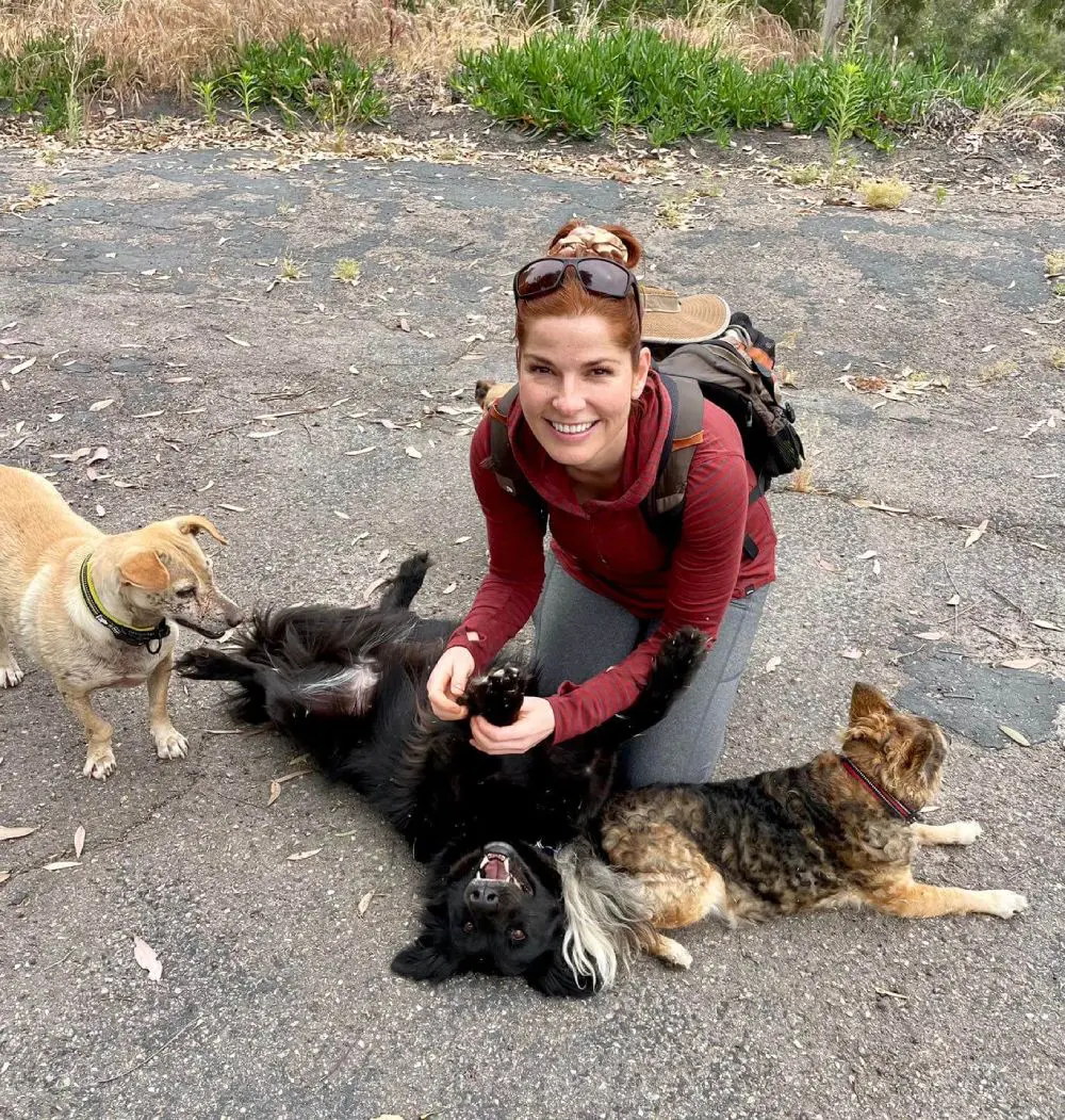 A woman kneeling down with several dogs and cats.